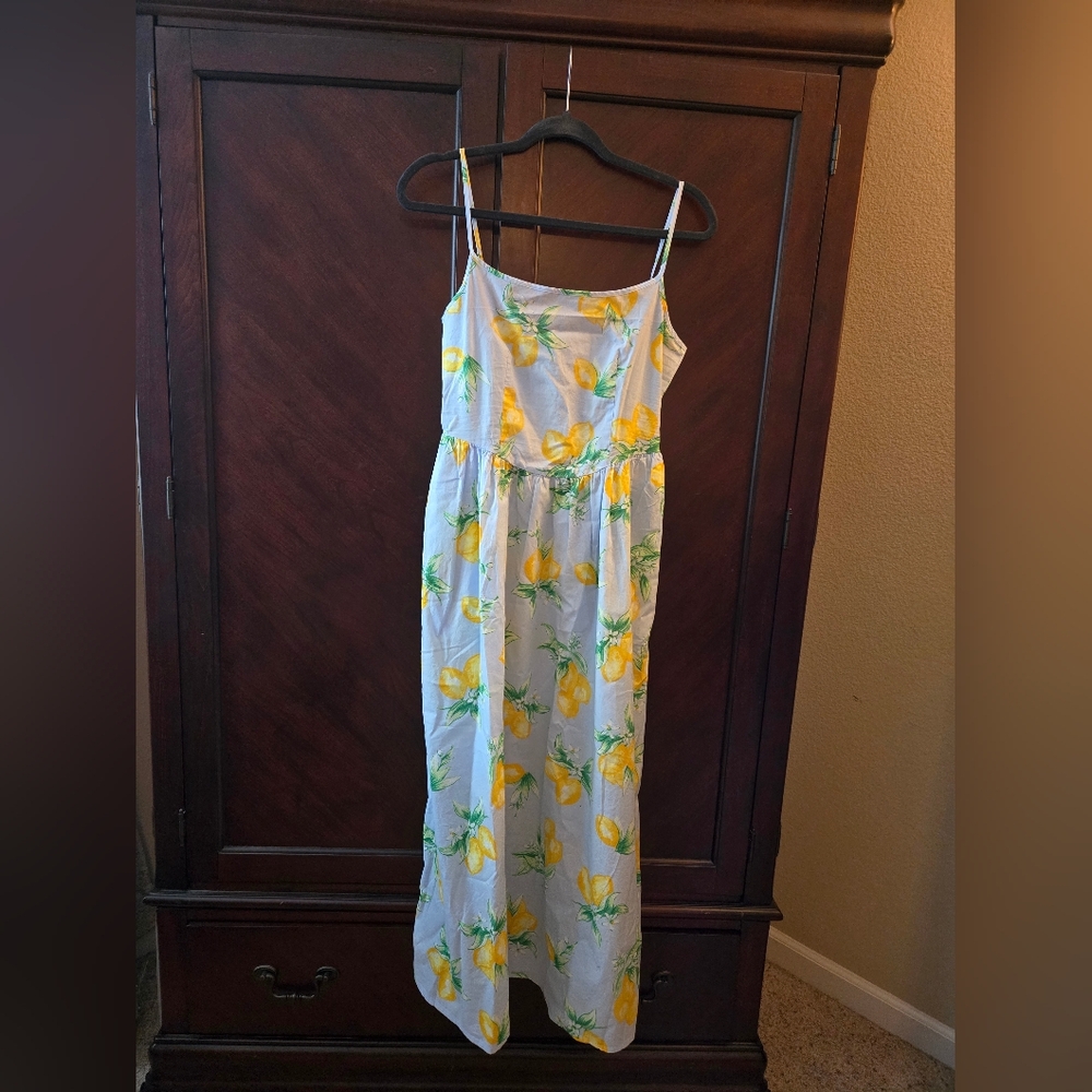 🌺 NWT GAP lemon Dress, Sz S
